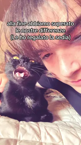 Vi presento chloe-chan . . . #cat #meme #memeita #voiceover 