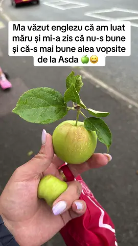 #TikTokUK #ViralVideo #ForYouPage #UKLife #DailyVlog #NatureLovers #WildFruit #ApplePicking #NatureVibes #StreetFruit #FreshFromNature #SummerVibes  #HealthySnacks #EcoLiving #SimpleLife #GreenLife #UKNature #BritishCountryside #DiscoverUK #HiddenGemsUK