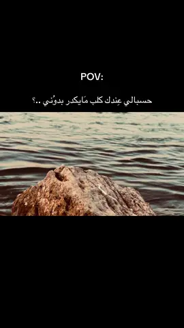 #شوفونه_ابداعكم #عباراتكم_الفخمه📿📌 #عباراتكم_الفخمه🦋🖤🖇 #اخر_عباره_نسختها🥺💔🥀 #عبارات_حزينه💔 #عبارات_جميلة_وقويه😉❤️ #تصويري_احترافي_الاجواء👌🏻🕊😴 