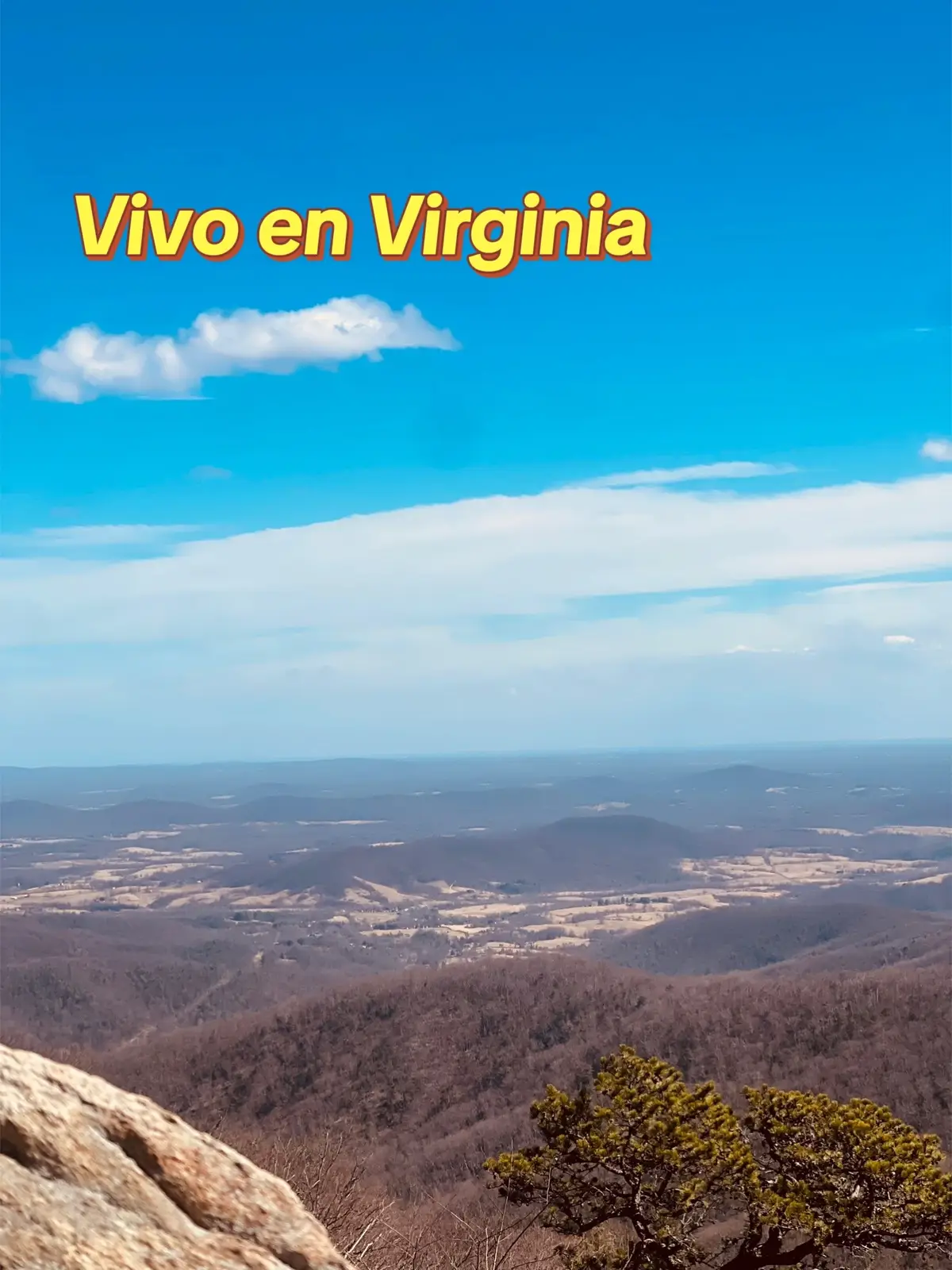 #vivoenvirginia #trend 