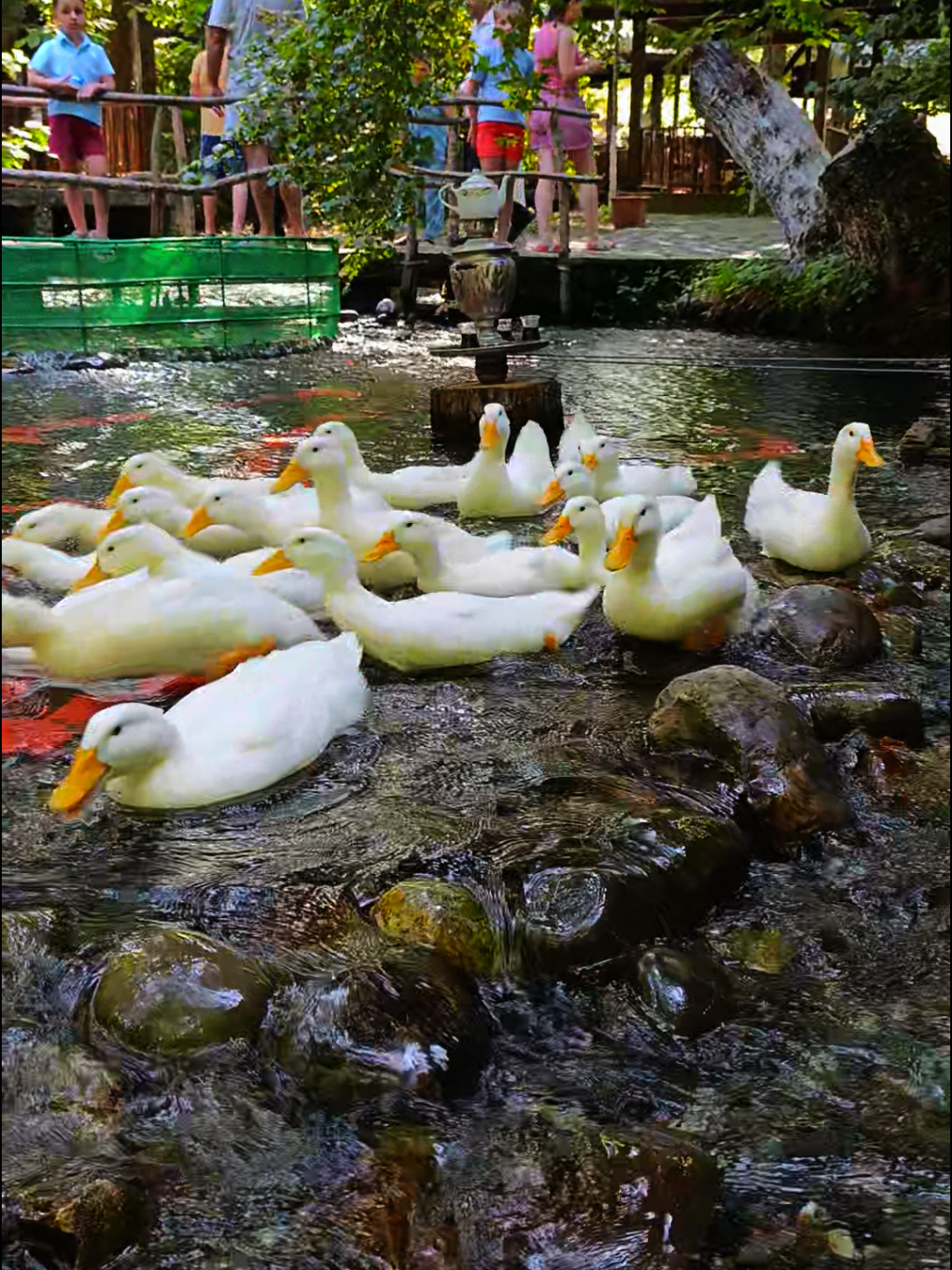 #fontan #nabran #fontannabranrestoran #keşfet #quba #xudat #qusar #xacmaz #azerbaijan #baku #baki #restaurant #restoran #fypage #fypppppppppppppppppppppp #viralvideo #memories #greenscreen #набрань #foryou #foryoupage #beniöneçıkart #bugün #kesfet #azerbaycan🇦🇿  #рекомендации #capcut #anılar #вэтотдень #viralvideo #viraltiktok #viral #хочуврекомендации #rezervasyon #rezervasiya #quzusəbəti #dadliyemekler #foodtiktok #foodblogger #kesfetteyiz #kesfetbeniöneçıkart #kesfetteyizzzzz #kesfet #istirahət #trend #menzere #mənzərə  #FontanNabran #AiləviRestoran ##   #RezervEt  #nabran2025 #yayaburasənligəl #daddıram #təbiətdəyemək #ailəviləzzət #qəlyanaltıvaxtı #restoranhəyatı #qonağımızol #aztiktok #trendaz #səhəryeməyi 