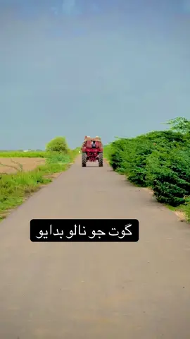 سپووت قیو