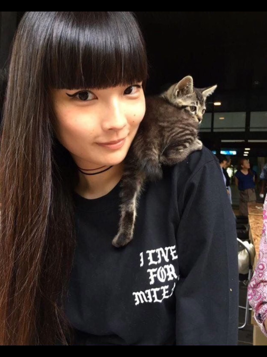 #akimotokozue 