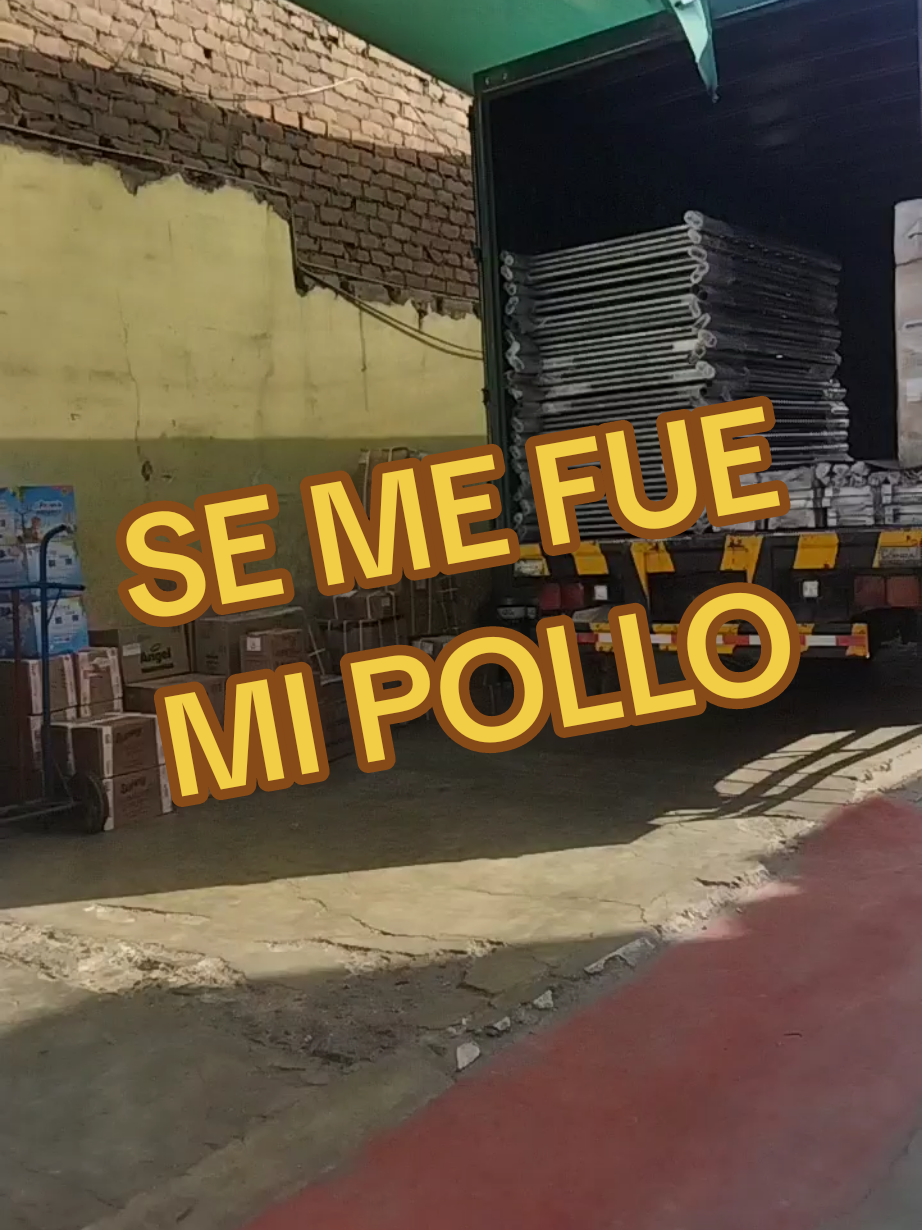 ENVIOS SEGUROS CON @Oro Verde Transportes @Productos Oro Verde #baile #fyp #fypシ゚ #viral #parati #chicha #chacalon #peru 
