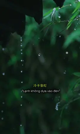靠山山会倒，靠人人会跑 “kào shān shān huì dǎo, kào rén rén huì pǎo” 🔹Dựa núi, núi đổ; dựa người, người chạy.