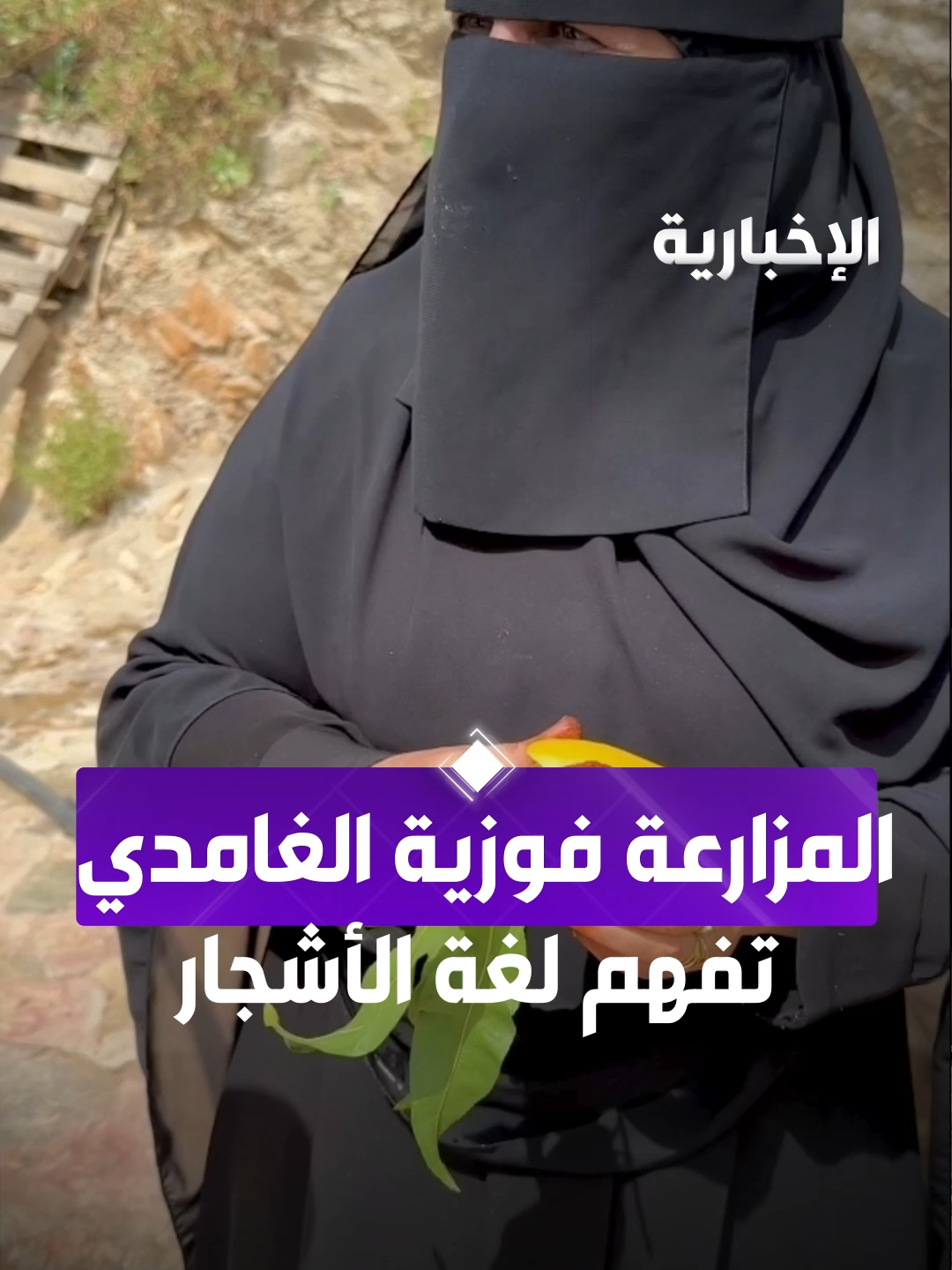 المزارعة 