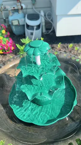 AISITIN 6.5W Solar Bird Bath #springtok #SpringGlowUpBoost #vacayreadybeauty #SpringGlowUp #spotlightfinds #tiktokshopspringglowup #homedecor #interiordesign #homestyling #honeycombshades  #HomeUpgrade #energyefficient #homediy   #apartmentdiy #bedroomdesign #creatorsearchinsights #explorepage #duet #viralvideo  #foryoupage #comment #usa_tiktok #usa #tiktoknepal #nepalitiktok #onsale #flashsale #gift #shopping #tiktopshop #Coupon #Affordable #Accessories #TikTokShopRestock #unleashyourgame #TikTokShopCreatorPicks#TikTokShopSummerTurnUp#Dealsforyoudays #TikTokShopCreatorPicks   #fyp #tiktokshop #spotlightfinds 