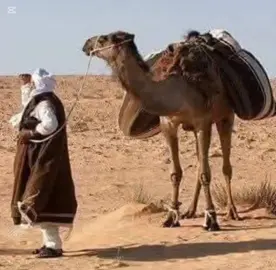 خلك ياعيني عالعازه صلاح الورفلي الاغنيه كامله#ودان_الجفرة_ليبيا #البريقة__اجدابيا__العرقوب_ليبيا🇱 #سبها_ليبيا_الجنوب_الليبي #زله_الجفره_هون_ودان_سوكنه #بنواليد💚والدصولبه #كسبلور_تيك_توك_مشاهير_العالم_المقاول 
