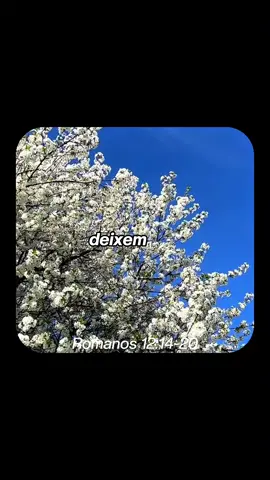 amém ?☦️❤️#jesuslovesyou #reflexão #jesusteama 