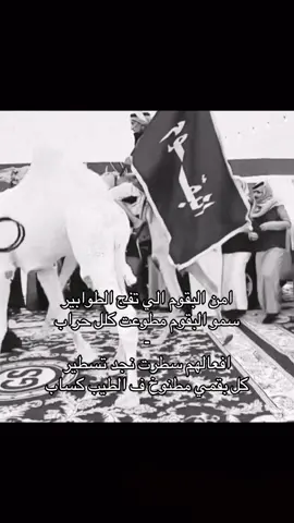 #البقوم #fyp #اكسبلور #سهوم_المنايا #لايك #فولو #explore #الشعب_الصيني_ماله_حل😂😂 #البقوم_سهوم_المنايا #رماح #تربه #رضوان 