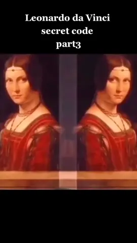 Leonardo Da Vinci il codice decreto #neiperteeeeeeeeeeeeeee #viral #secret #alieni 