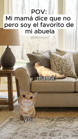 POV: Mi mamá dice que no pero soy el favorito de mi abuela😂😂 #catmeme #divertido #gatostiktok #gatosdetiktok #gatos #humor #risas #gatosgraciosos #gatosdivertidos😄 #catsoftiktok #funn #funnytiktok #mamá #abuela #abuelita