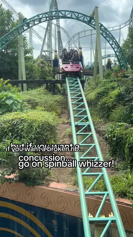 honest opinion 💪 #fyp #viral#altontowers #thorpepark 
