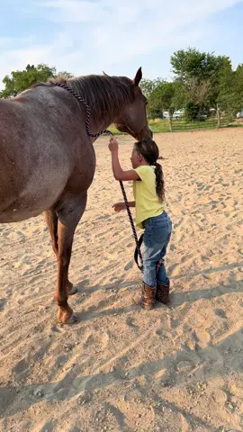 When your horse is helpful, they are worth their weight in gold! I could write a book about how much I love this horse!