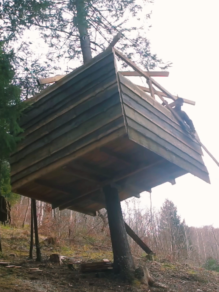 The process of building a house with warm wooden materials #camping #Outdoors #survival #bushcraft #viral #2025 