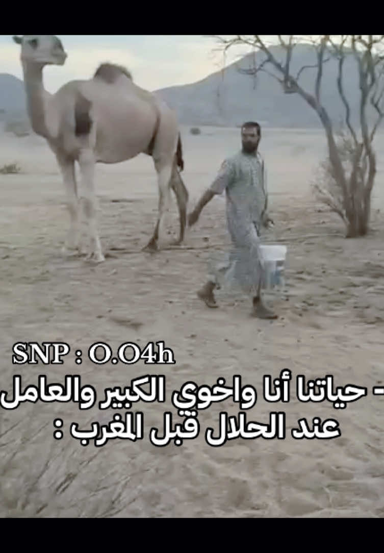 #حياتنا_انا_واخوي_عند_الحلال #حياة_البادية #حياة_البدو #هاذي_اخرتها #الفقر_فقر_ابيض #اعقب_يا_علي_اعقب_يا_علي #سعيد_بن_سالم #السعردية🇸🇦 #اتفرج_على_تيك_توك #بيشة_اكسبلور #ترند_تيك_توك #ترندات_تيك_توك #سـعيد #ترند_الصيني_ماله_حل😂😂 #هشتاقاتي_الترند_المشهور #هشتقوها_يالله #ترند_السعودية #هشتقوهااااااااااا #بيشة #اعقب_يا_علي #فقر_ابيض #m 