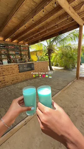 Your 5th @ has to take you to Punta Cana in 2025 🌺🍹🍍🐠🦜🏝️ #fyp #travel #travelagent #puntacana #dominicanrepublic #CapCut 