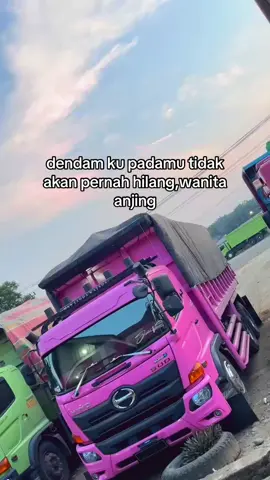 #fyp #drivelmudapunyacerita #hino500 
