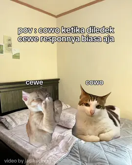kadang dunia emang ga adil ygy #memekucing #catmeme #memecat #pov #fypシ゚ #foryou #4u #masukfyp #viral #xybca 