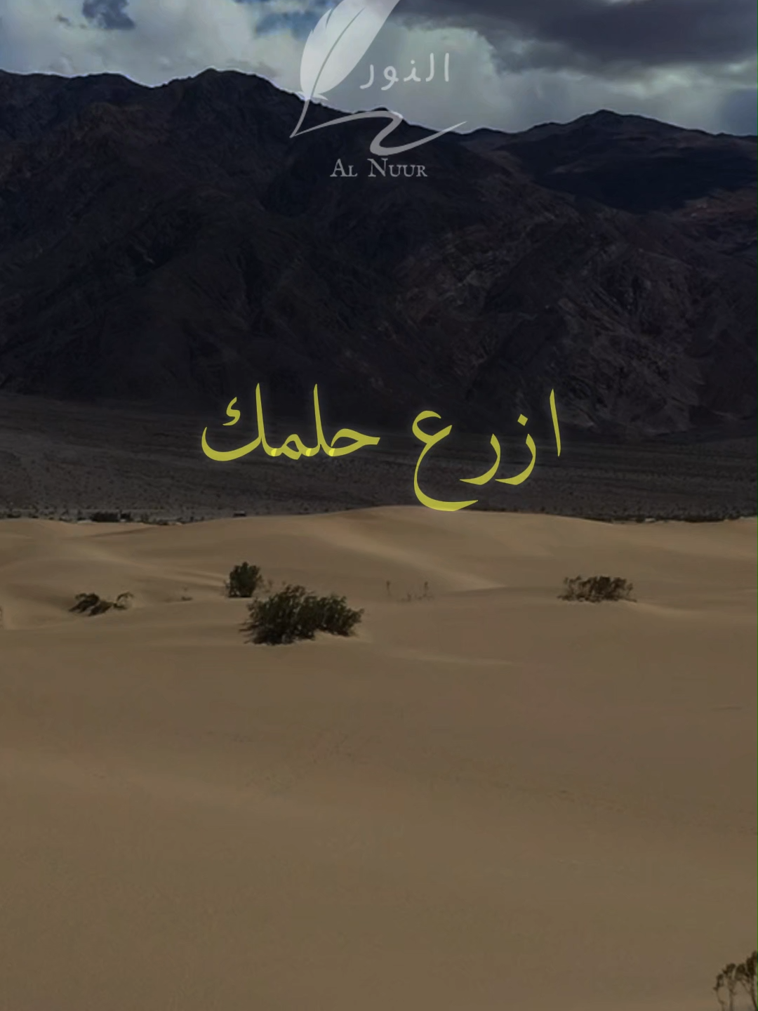 ازرع حلمك بصمت #اقتباسات #حكمة #خواطر #اكسبلور #نجاح #علم_النفس #تطوير_الذات #كلام_من_ذهب #اطمئن #اقتباسات_عبارات_خواطر #تحفيزات_إيجابية #اللهم_صلي_على_نبينا_محمد #fyp #explore #viral_video #psychology #motivation