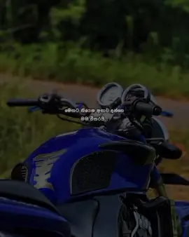 Aniwaa 💯❤️ . . . . #tiktokviralvideo #New #trending #hornet #250cc #viralvideo 