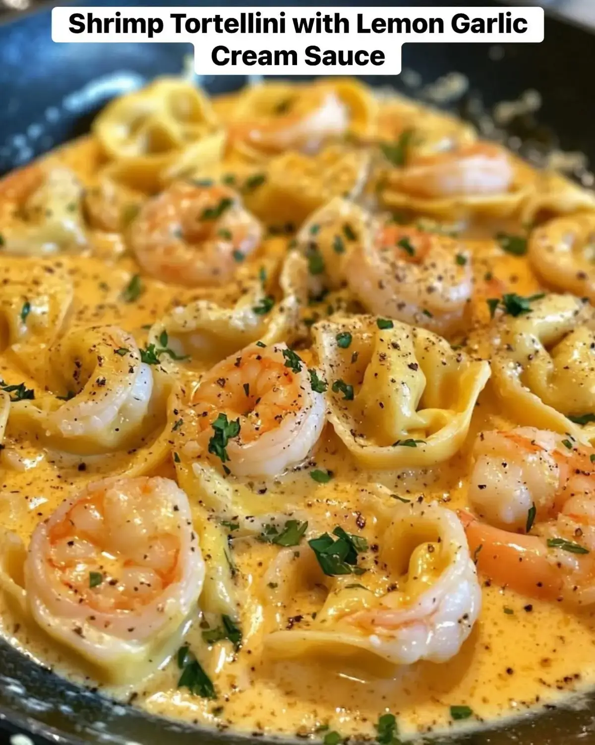 Shrimp Tortellini with Lemon Garlic Cream Sauce￼ Ingredients: 1lb cheese tortellini 1 lb large shrimp, peeled and deveined 2 tablespoons olive oil 4 cloves garlic, minced 1/4 cup grated Parmesan cheese 1 lemon, zested and juiced 1 teaspoon salt 1 teaspoon pepper 1 teaspoon of garlic powder 1 teaspoon of onion powder 1 teaspoon dried basil 1 teaspoon dried thyme  1 cup heavy cream 1/2 cup chicken broth Fresh parsley, chopped (for garnish) Directions: In a large pot of boiling salted water, cook the cheese tortellini according to package instructions. Drain and set aside. In a large skillet, heat the olive oil over medium heat. Add the shrimp and season with salt, pepper, onion powder and garlic powder. Cook for about 3 minutes on each side until the shrimp are pink.  Remove the shrimp from the skillet and set aside. In the same skillet, add the garlic and sauté for about 30 seconds until fragrant. Pour in the heavy cream and chicken broth, stirring to fully combine. Bring to a simmer￼ on low heat. Add in the Parmesan cheese, lemon zest, lemon juice, dried basil, and dried thyme. Mix until the sauce is smooth and creamy. If the sauce is too thick, you can add a little more chicken broth to reach your desired consistency. Add the cooked tortellini and shrimp back into the skillet, tossing gently to coat everything in the creamy sauce. Cook for an additional 2-3 minutes until heated through. Sprinkle fresh chopped parsley before serving. #creatorsearchinsights #fyp #viral #recipes 
