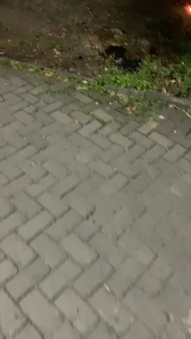@010101 🩶🩶