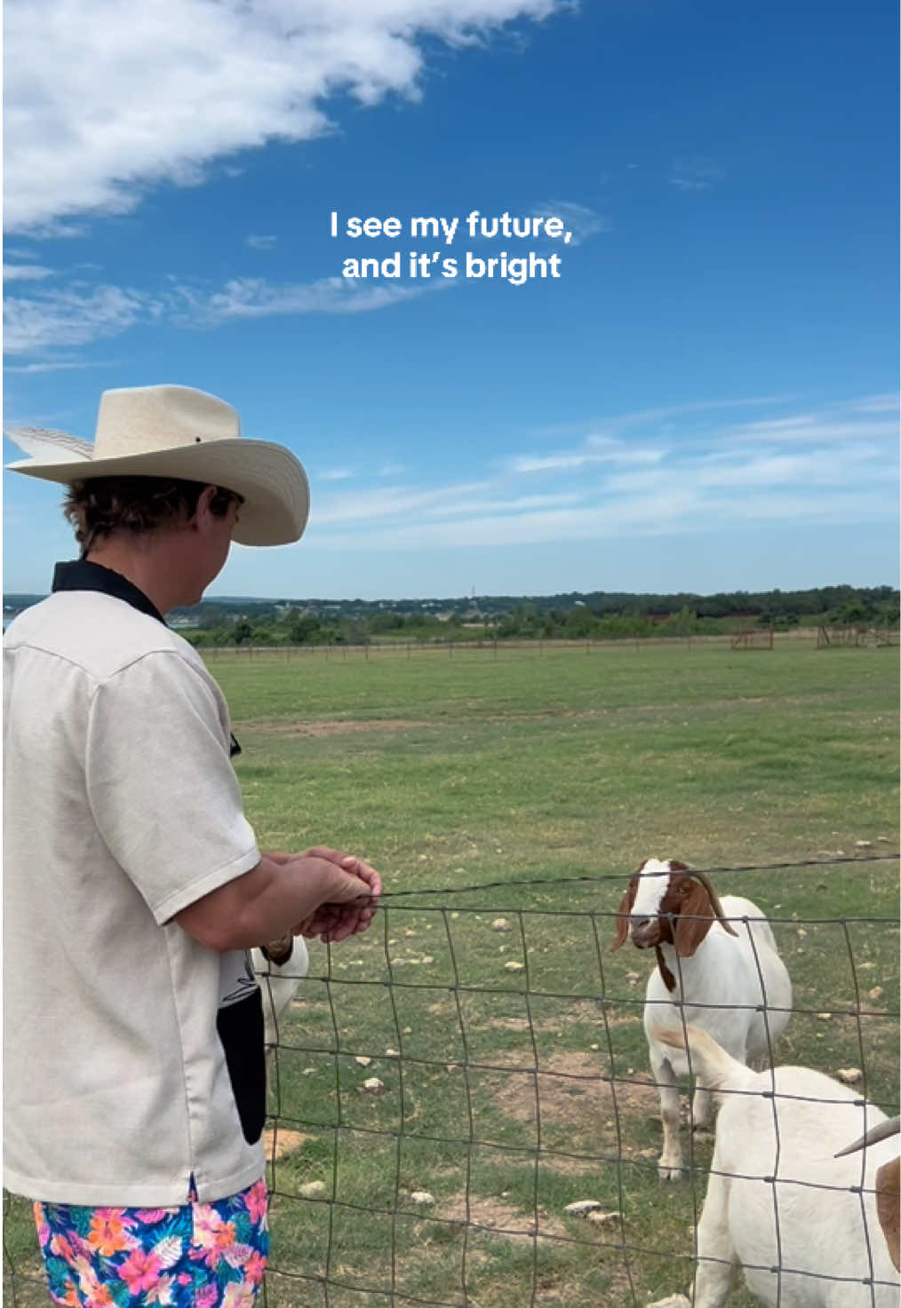 romanticizing our airbnb goats 🤍🌿🐐 #hillcountry #texashillcountry #canyonlake #goats #farmcore #fyp #aesthetic 