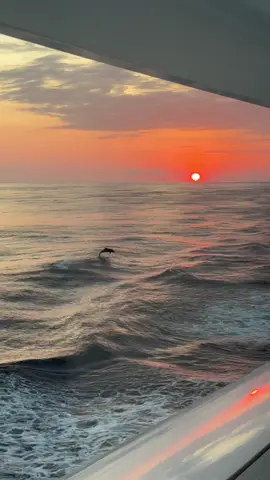 Rush hour commute #yacht #eurosummer #yachtcrew #mediterranean 