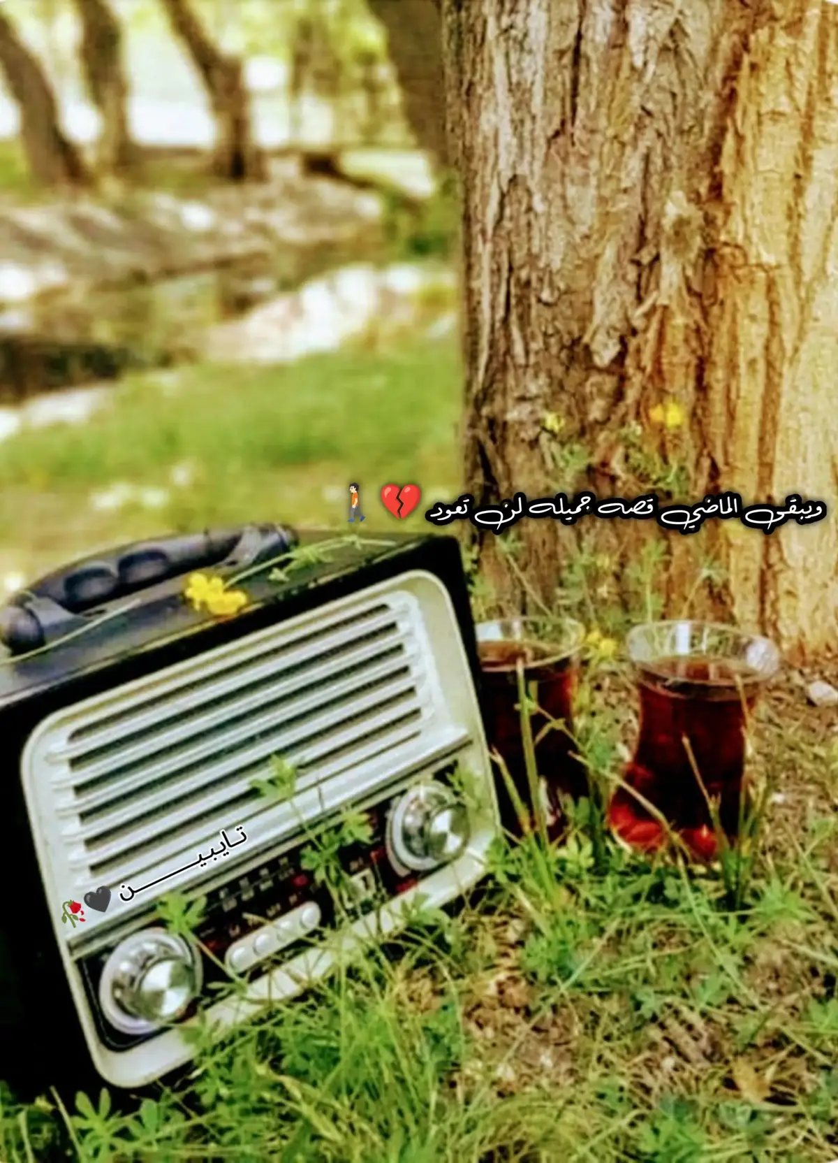 #ويبقى الماضي قصه جميله لن تعود 💔🚶🏻