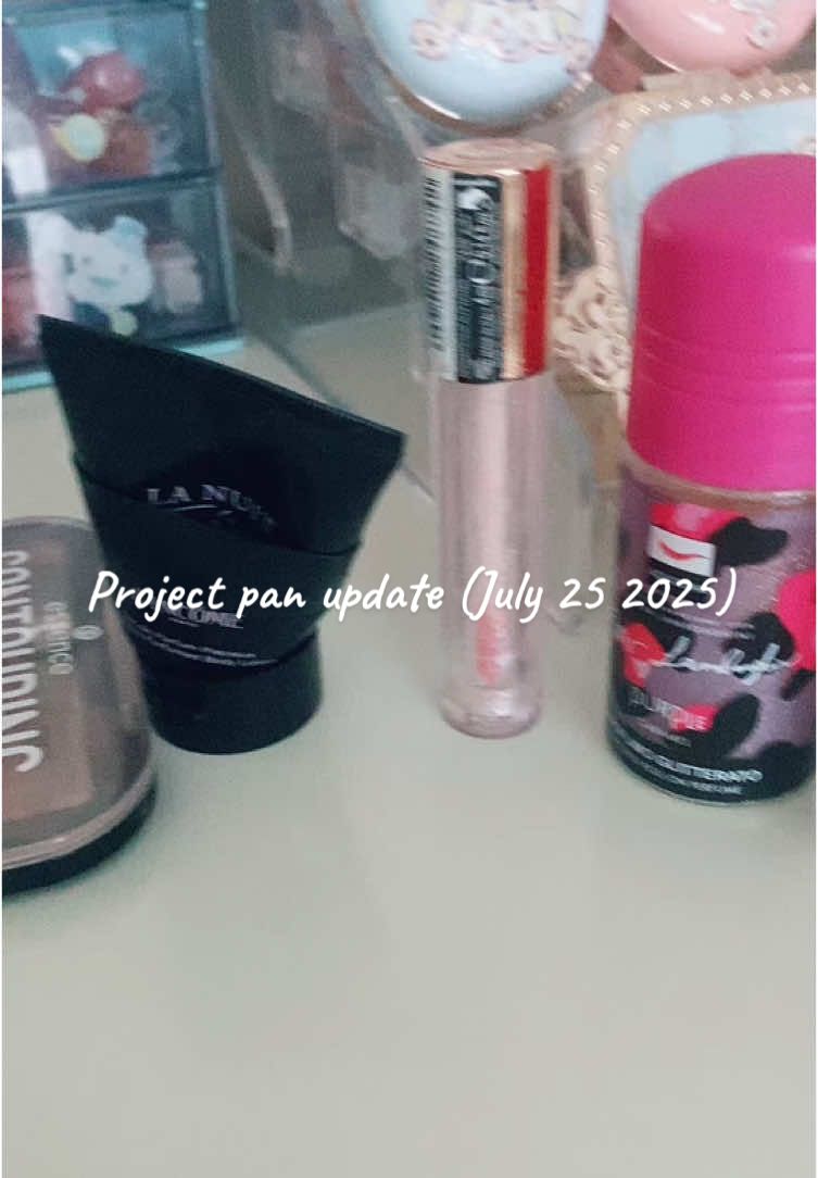 Project pan update July 25 2025 🩵#fyp #foryou #projectpan #projectpan2025  #projectoanupdate #explorepage #makeup #makeuplover #satisfyingvideos 