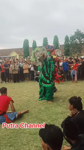 Barongsai ebeg, perpaduan seni Banyumas feat Tiongkok #jankauanluas #ebeg_banyumasan🐴🐴 #sorotan #fypp #kudalumping 