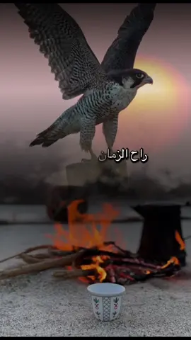 #أكسبلور_شعر_حكم_خواطر 