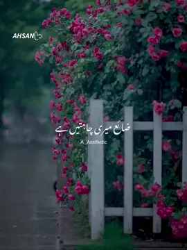 𝘼𝙃𝙎𝘼𝙉ᥫ᭡❤️‍🩹🥺🥀🐼……>>>zaia sapny zaia apny💔🥹<<<<.#foryoupage #fyp #tiktokoficial #explore #trending #lyrics #vibes #whatsappstatus #edits #viral #foryouofficial #unfreezemyacount..