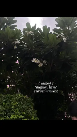 ไม่เอาไรแล้วว!!#ฟีดดดシ #ศิลปินคนโปรด #โฟร์ทณัฐวรรธน์ #เจมีไนน์นรวิชญ์ 