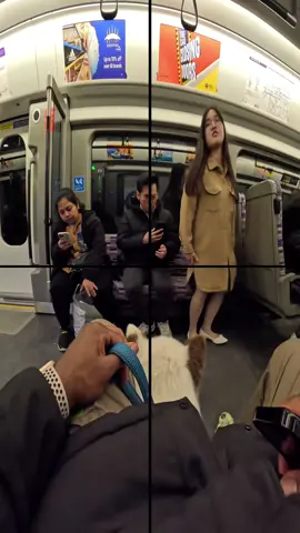 Train interactions with my dog!!  #husky #viral #fyp #foryou #doglover