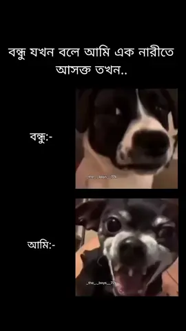 🤣🤣🤣✅