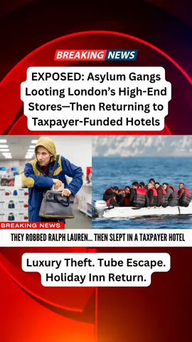 EXPOSED: Asylum Gangs Looting London’s High-End Stores—Then Returning to Taxpayer-Funded Hotels #LondonCrime #AsylumCrisis #MigrantHotels #uktiktok #breakingnews #uknews #uktiktok🇬🇧uk 