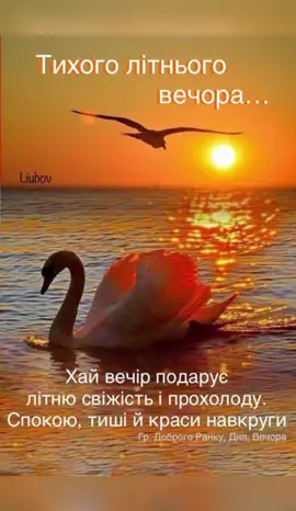 🌄🦋🌼🦋🌼🦢🌊🦢🌼🦋 Доброго вечора! Мирної нічки!⭐️🌜🌟#добрий #вечір #доброговечора #добраніч #доброїночі #солодкихснів #вітання #длявас #длятебе #врек #врекомендації 