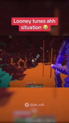 Minecraft looney tunes moments 💀 #Minecraft #minecraftmemes #foryou #fyp 