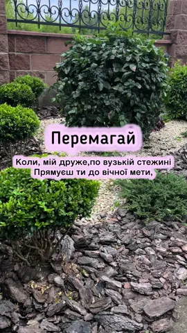 Перемагай! Автор Ірина Косарук #poem #christianity #вірші #поезія #бог #god 