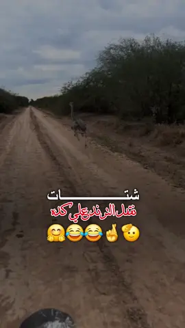 #نقفل_الترند_علي_كدا  #حواء_جوده_شتتو_وفاتو  #اغاني_سودانية🇸🇩👌🏻_مشاهير_تكتوك #ترند_تيك_توك #ابـوالوتـين #تصميم_فيديوهات🎶🎤🎬تصميمي🔥 #فيديوهات_كاب_كات🖤👍🏻📷🎬🌀 #مشاهير_تك_توك_السودان #متابعه_ولايك_واكسبلور_احبكم #سودانيز_تيك_توك_مشاهير_السودان🇸🇩 #محظور_من_المشهدات_ولاكسبلور #متابعه #تصميمي #ودالرشيد #الشعب_الصيني_ماله_حل😂😂 #جخو،الشغل،دا،يا،عالم،➕_❤_📝 