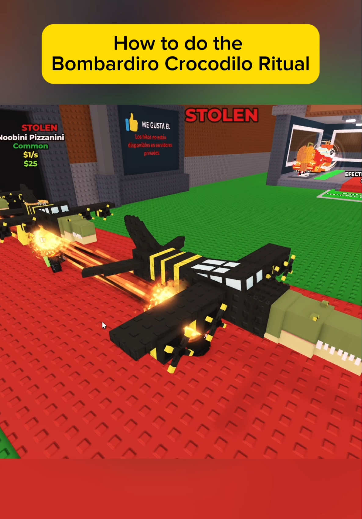 How to do the Bombardiro Crocodilo Ritual 😁 #roblox #stealabrainrot 