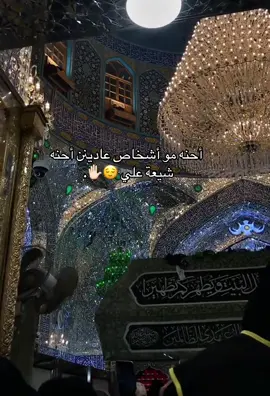علي ويانه علي 🫡🔥. . #النجف_الأشرف #الامام_علي_بن_ابي_طالب #شيعة_علي_الكرار 