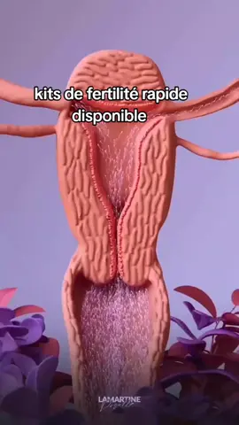 comment traiter le fibrome utérin kyste ovarien grossesse rapide menaupose précoce traitement naturel pour tomber enceinte rapidement #canada_life🇨🇦 #usa_tiktok #bebe #grossesse #france @pinterest @Google @YouTube @snapchat @Facebook 