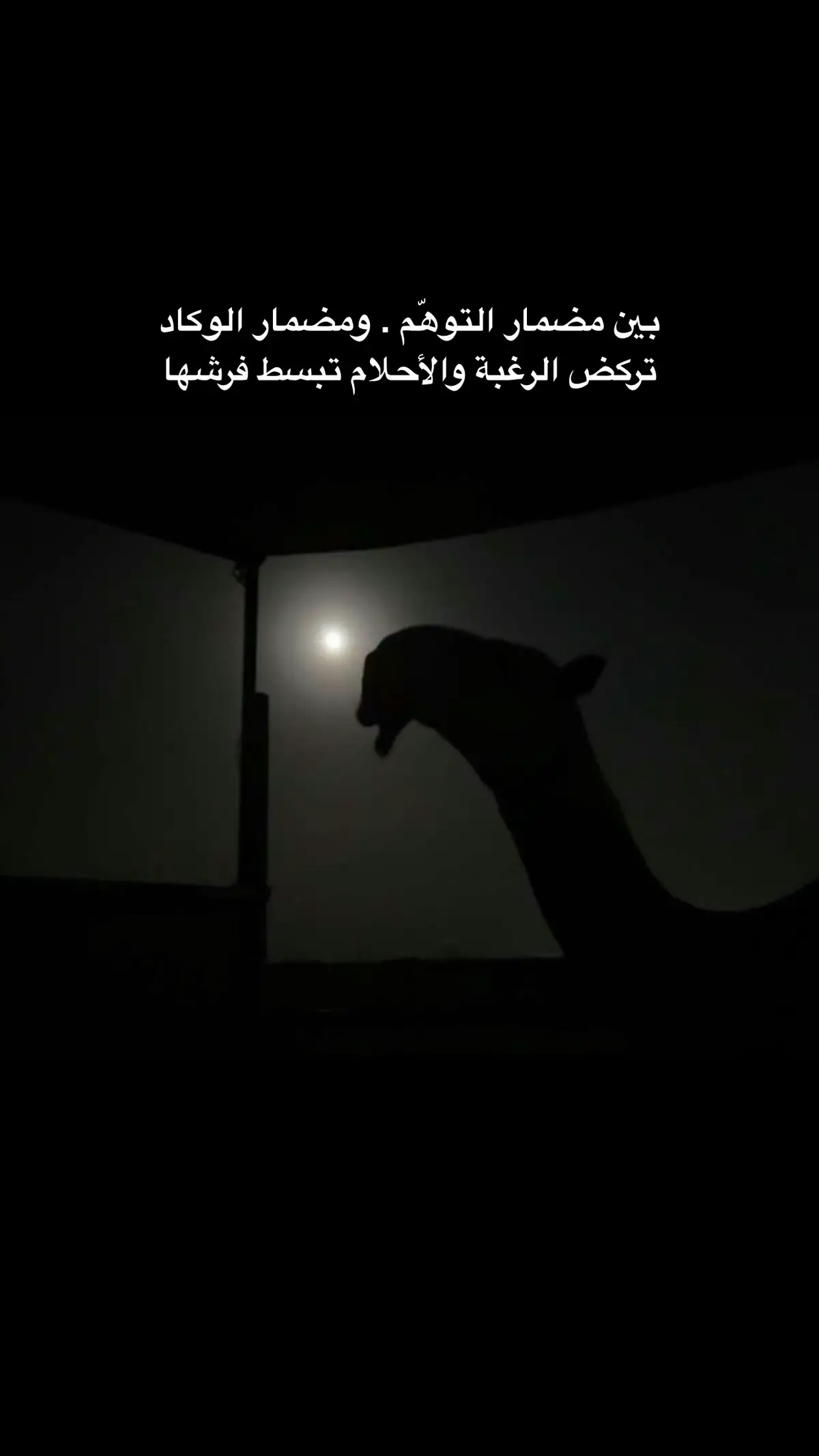 #اكسبلور#الشعب_الصيني_ماله_حل😂😂#قصيد#شعر#هاشتاق 