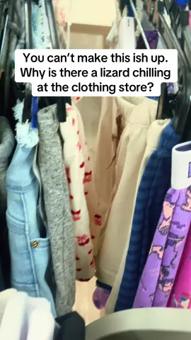 My daughter almost passed out 😂  #shopping #shop #clothing #lizard #why #mall 
