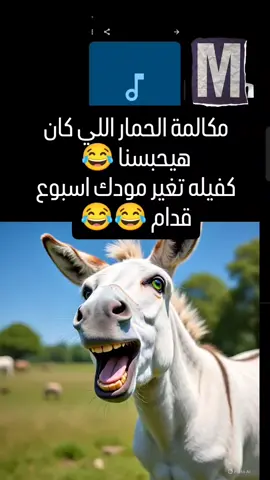 مكالمة الحمار  كفيلة تغير مودك اسبوع #مصر 