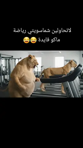 هل عند الجرأة تذكرين وزنك  الحقيقي🤔 #الشعب_الصيني_ماله_حل😂😂 #ضحك #nature #lion #explore #foryoupage #funny @Ali Alkhalde @يوميات اسدون @Ilyan | اليان 