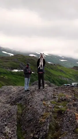 All Hail the Queen of Alaska! • There’s one place Ari (Aurora) loves the most and that’s being outdoors and camping.